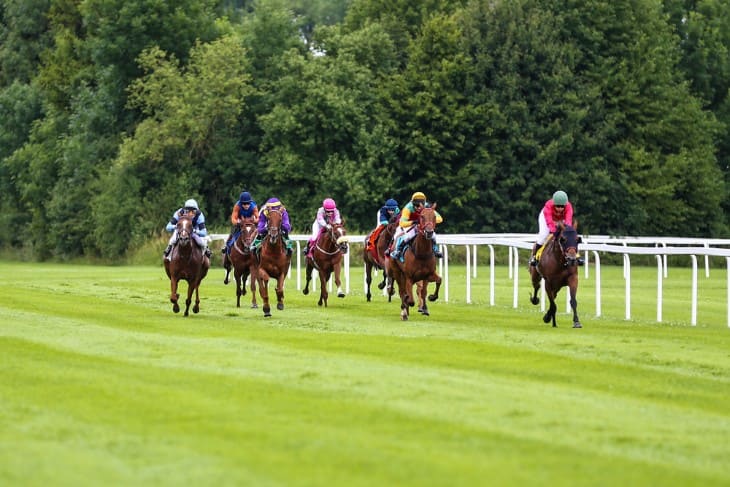 The Importance of Local Horse Racing Competitions