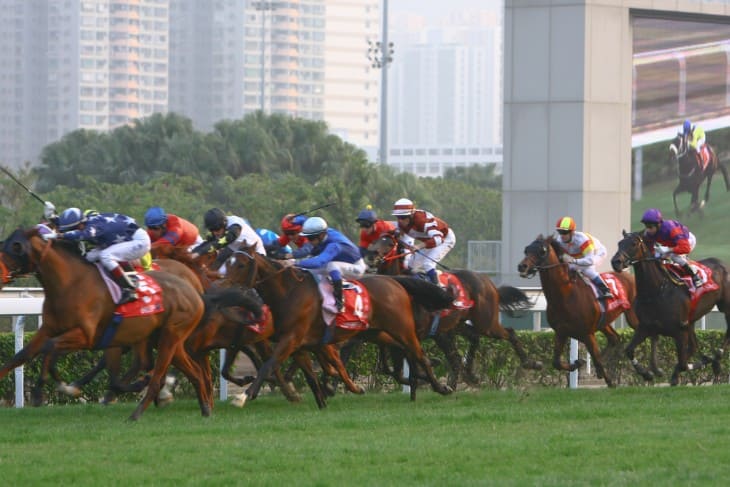 The Importance of National Horse Racing Competitions