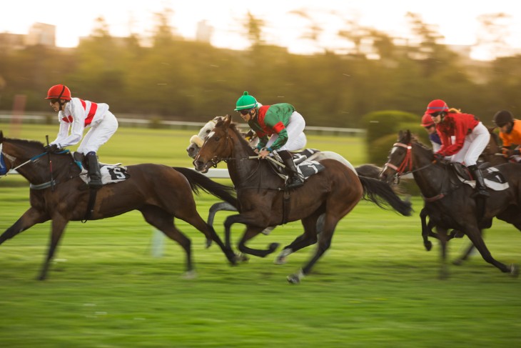 The Importance of Track Bias in Horse Racing