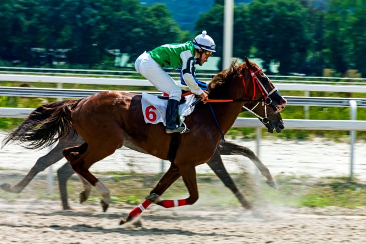 The Influence of Weather on Horse Racing