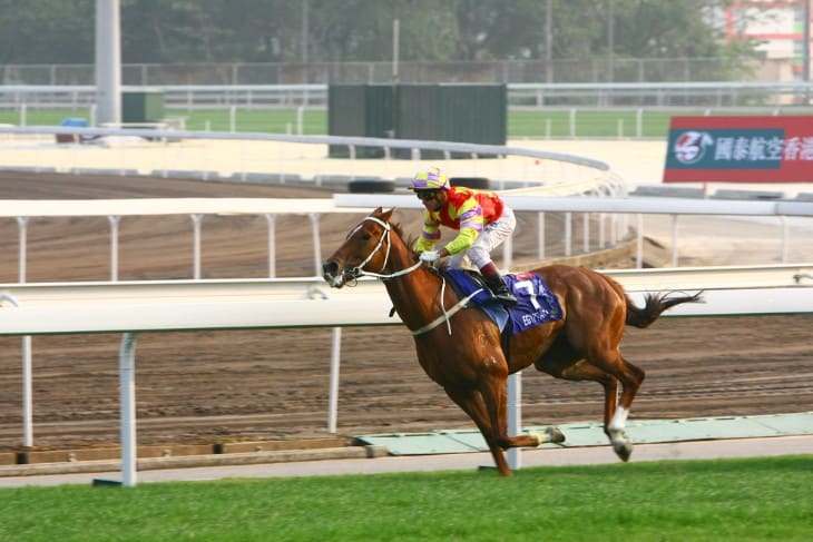 The Japan Cup's Logo