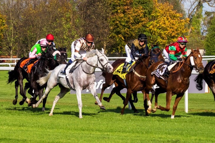 The Jockey’s Perspective on Riding Constitution Hill