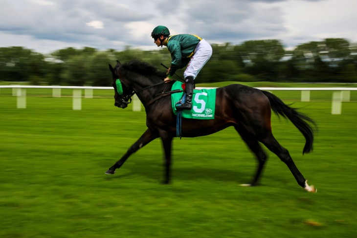 The Kentucky Derby: America's Race