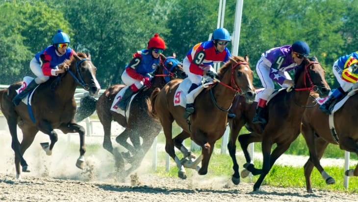 The Kentucky Derby: The Run for the Roses