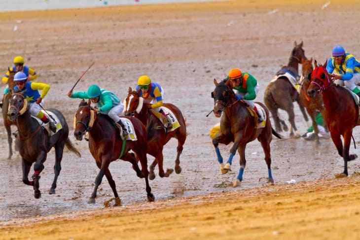 The Psychological Impact of Weights on Horses and Jockeys