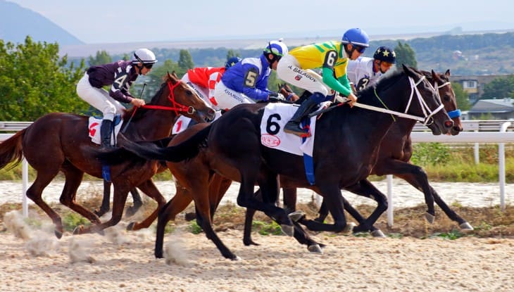 The Psychology Of A Winning Racehorse