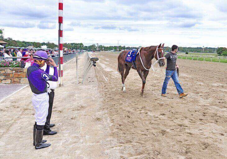 The Role of a Horse Racing Steward