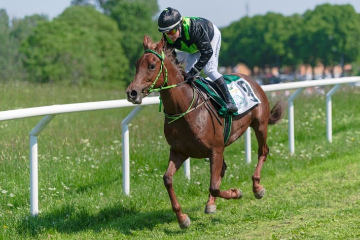 The Role of Bullet Workouts in a Horse's Fitness Regime