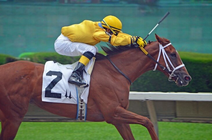 The Role of Jockeys in Horse Racing