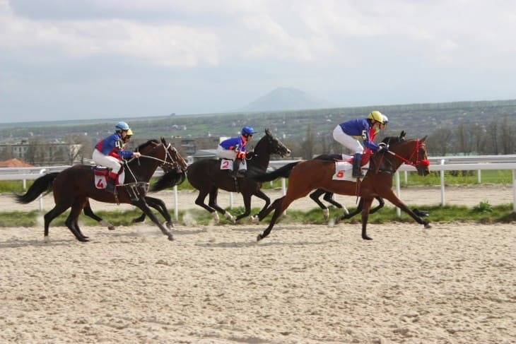 The Role of Jockeys in Horse Welfare