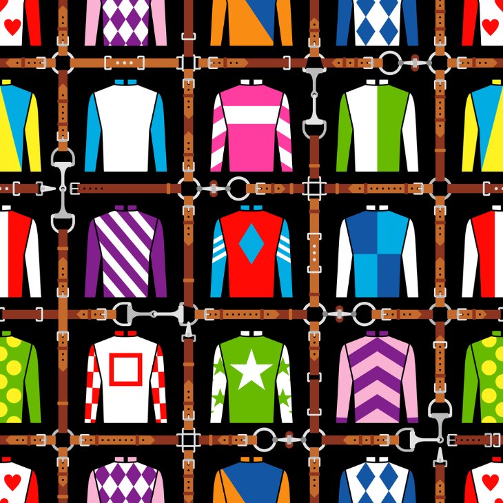 The Role of Silks in Horse Racing: History and Meaning