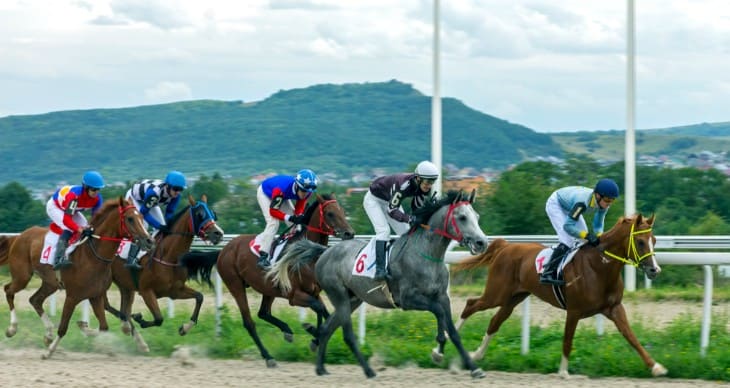 The Role of the Handicapper in Racing