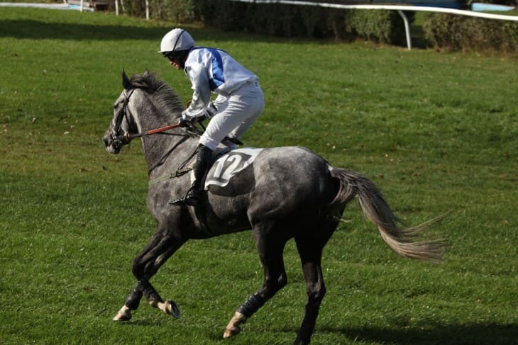 The Royal Ascot