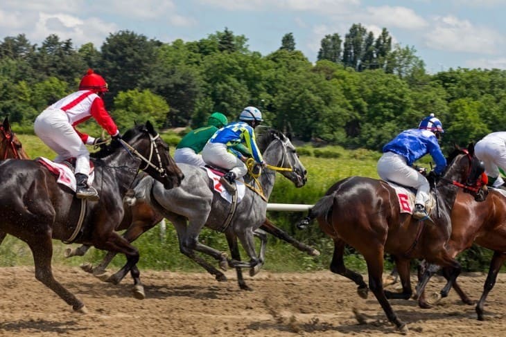 the Stewards' Cup