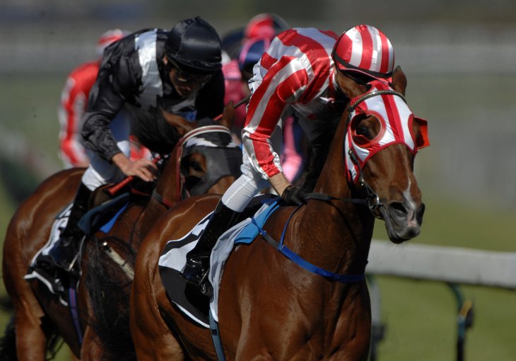 The Tradition of Horse Racing on Boxing Day