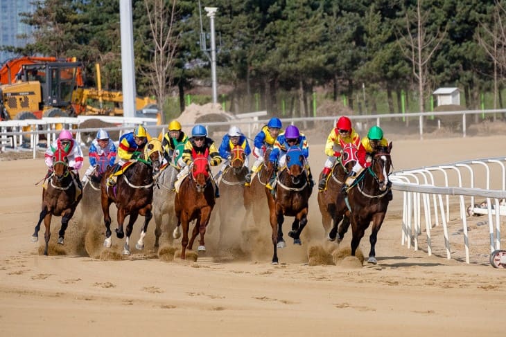 The Training and Dedication of National Hunt Jockeys