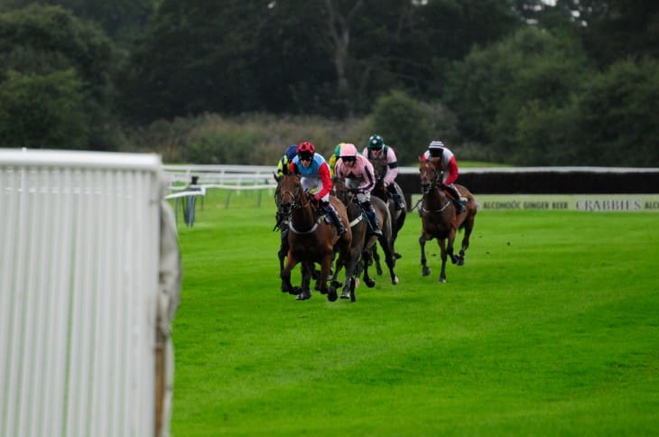 Thoroughbred Horse Winning A Horse Race