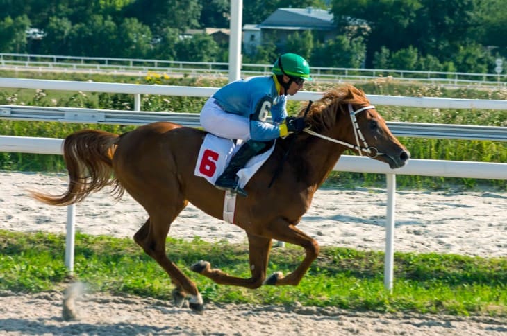 Tote Betting at the Grand National