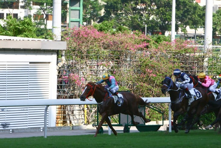 Track Surfaces and Their Impact on Two-Year-Olds