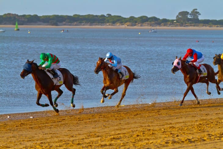 Traditional on-course Bookmaker