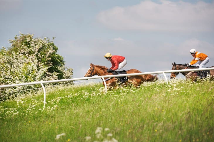 Trainer Focus: Anthony Honeyball: Potwell Farm’s Leading Players