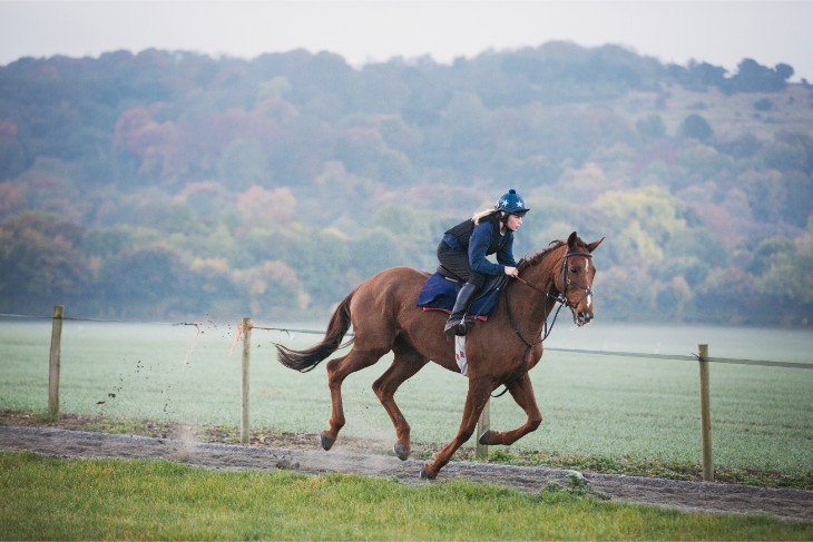 Trainer Focus: Evan Williams: Fingerpost Farm Runners to Follow