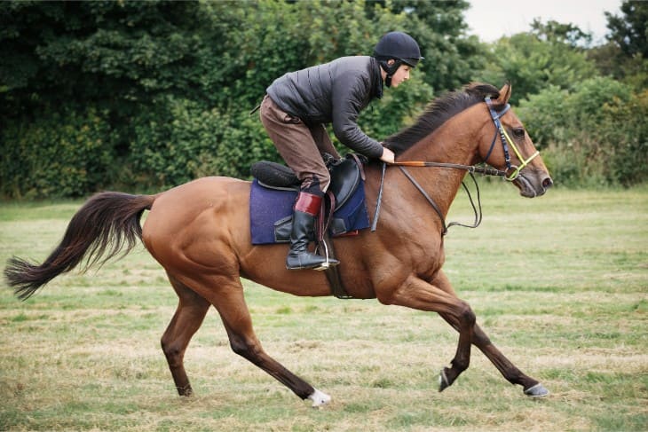 Trainer Focus: Harry Derham: Upper Farm’s Most Interesting Runners