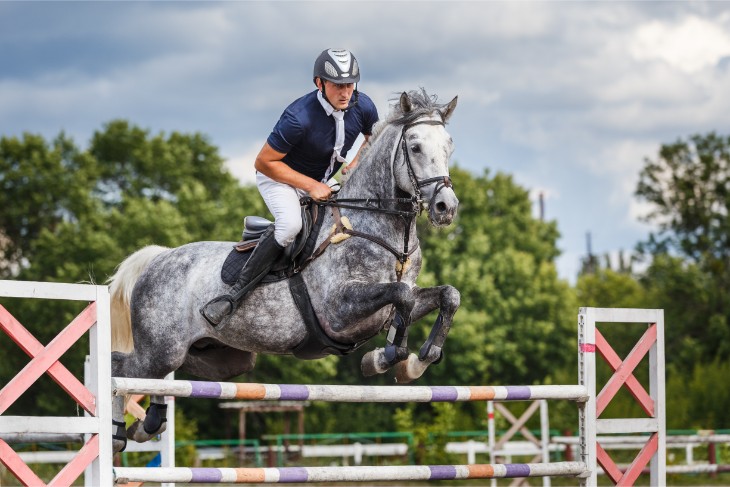 Trainer Focus: Philip Hobbs & Johnson White: The Winners of Withycombe