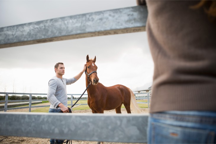 Trainer Focus: Willie Mullins: Closutton Colossus Ready to Roll