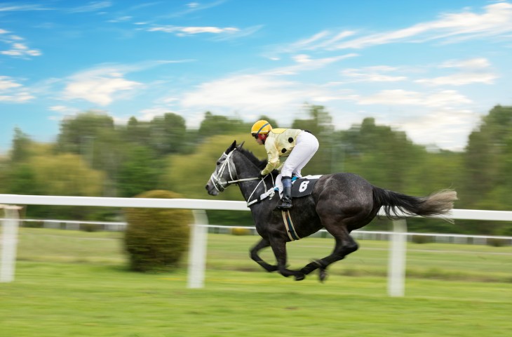 Transmitting Equine Flu