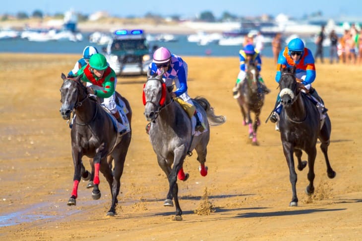 Trifecta Betting Strategies in Horse Racing