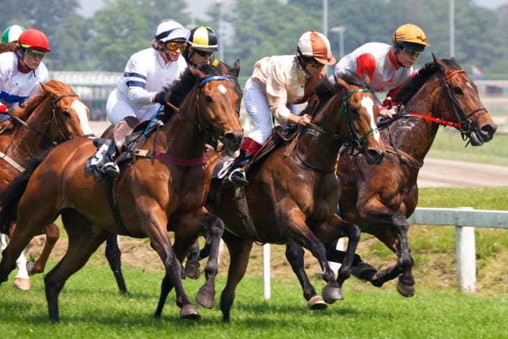 Horse Racing Tourism