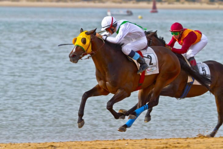 Understanding Box Walking in Horses