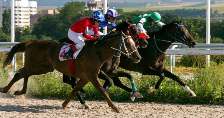 Understanding Different Horse Breeds in Racing