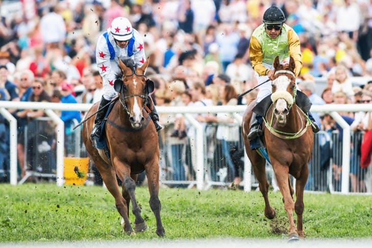 Understanding Horse Racing Betting