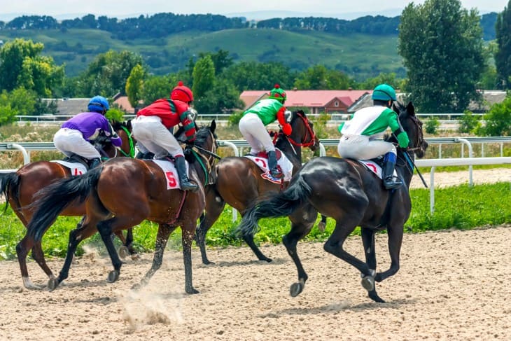 Understanding Momentum Betting in Horse Racing