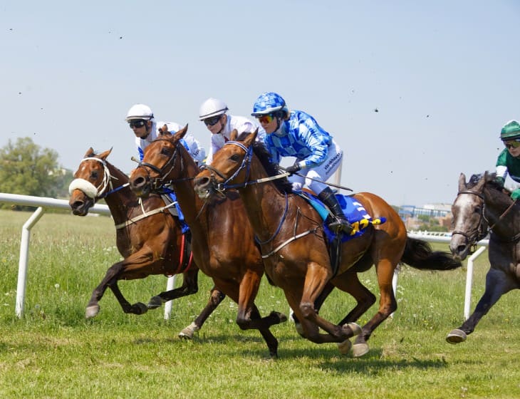 Understanding the Different Classes in UK Horse Racing