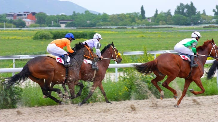 Use of Virtual Reality in Horse Racing