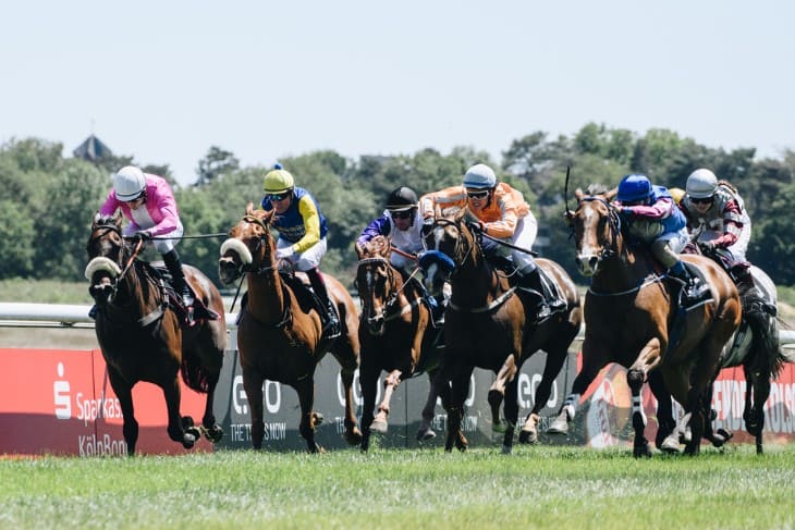 Last-Minute Opportunities: Utilising Late Odds in Horse Racing