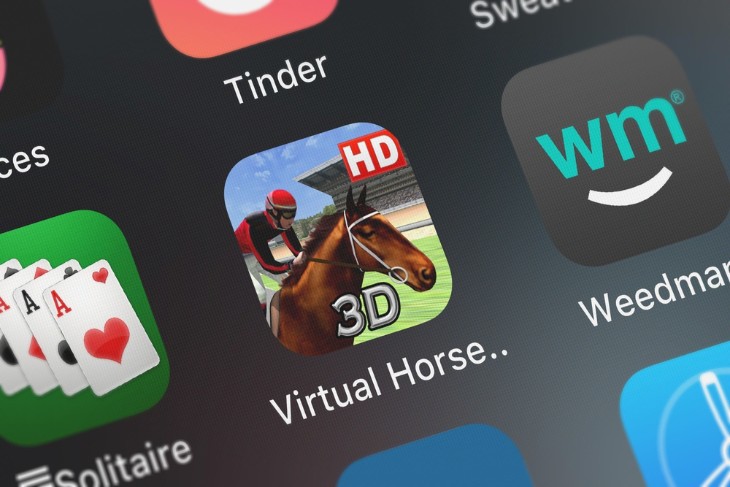 Virtual Horse App