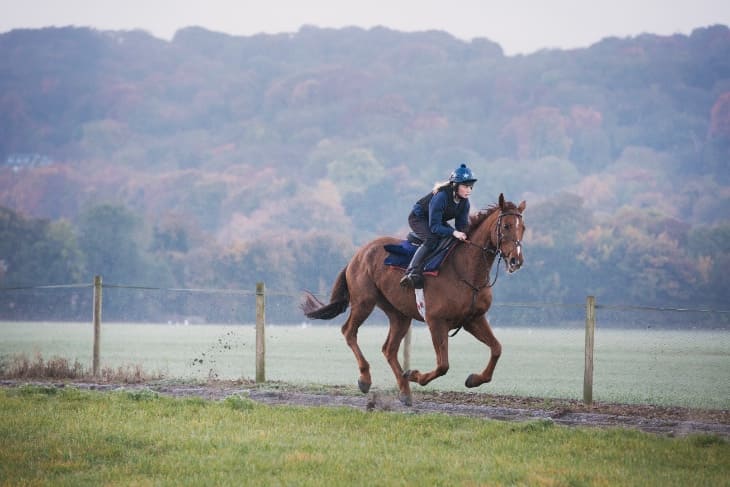 Weatherbys Cheltenham Festival Betting Guide Hurdle