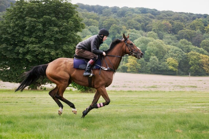 Weatherbys Scientific £300,000 2-Y-O Stakes Preview 2024