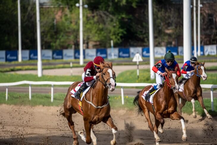 What does 4 Places Mean in Horse Racing?