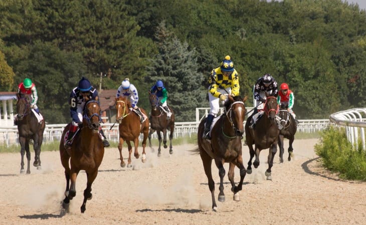 What Does WS Mean in Horse Racing?