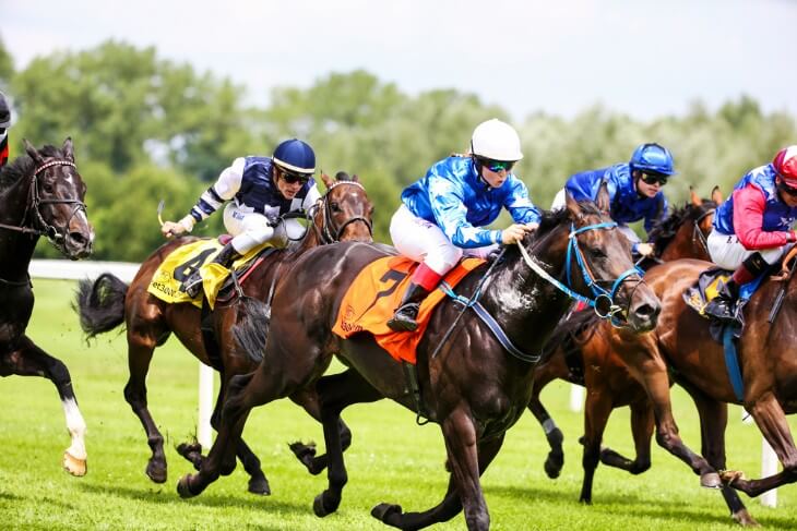 What Does Yielding Mean in Horse Racing?