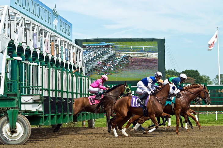 What is a Bumper in Horse Racing?