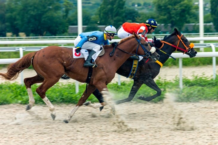 What is a Parlay Bet in Horse Racing?