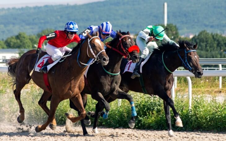 What is a Walkover in Horse Racing?