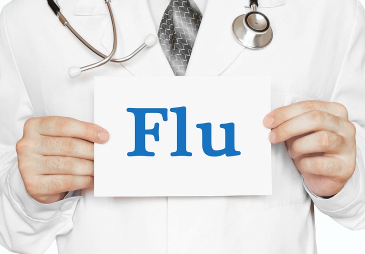 What is Equine Flu?