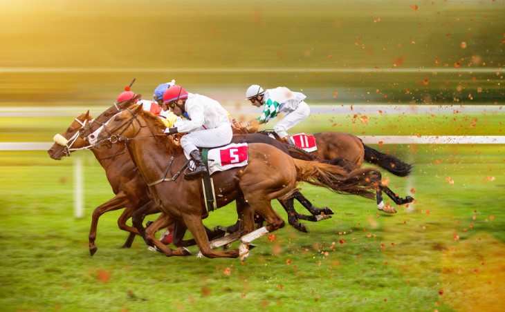 What is OLGB in Horse Racing Mean?